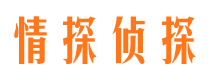 隆安情探私家侦探公司